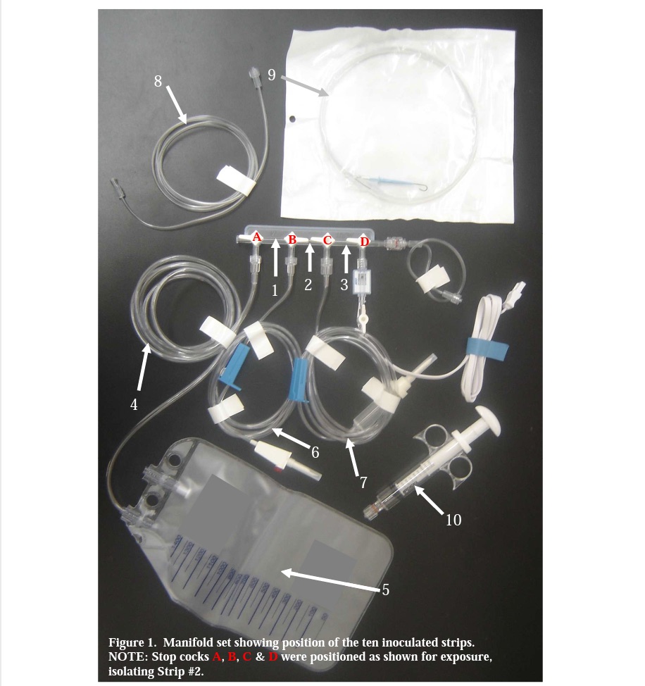 Figure 1 Bacillus atrophaeus spores